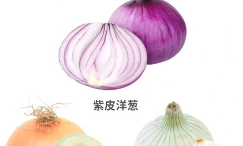 红枣鱼功效网 - 网站提供红枣鱼汤功效与作用小常识、红枣与蜜枣的功效区别