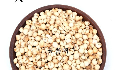 红枣鱼功效网 - 网站提供红枣鱼汤功效与作用小常识、红枣与蜜枣的功效区别